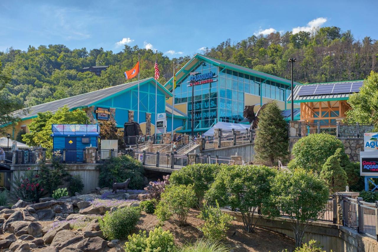 5Bd5B Escape Cabin With 2 Hottubs, Thtr &Game Rm,1Mi To The Parkway! 4Mi To Dollywood - Spring Deal พิเจนฟอร์จ ภายนอก รูปภาพ